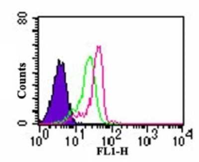 Flow Cytometry: TLR7 Antibody [FITC] [NBP2-24777] - Intracellular staining by analysis of TLR7 in human monocytes using this antibody at 0.5 ug/10^6 cells. Shaded histogram represents cells alone, green represents rabbit IgG isotype control, red represents anti-TLR7 antibody.